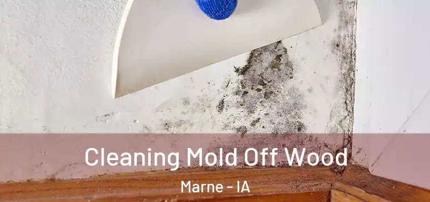 Cleaning Mold Off Wood Marne - IA