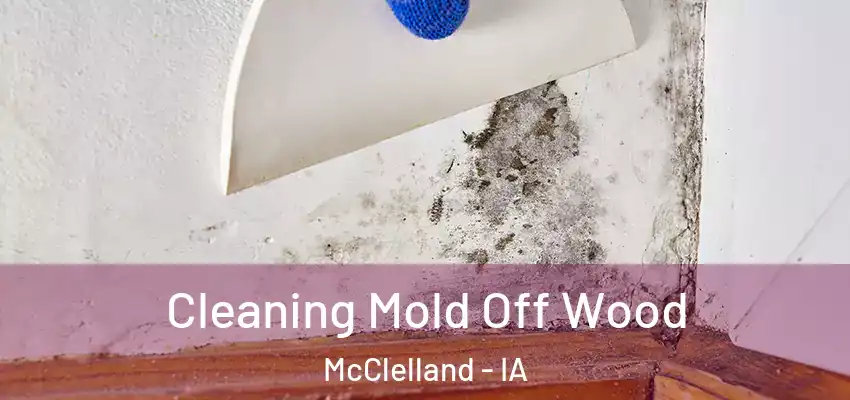  Cleaning Mold Off Wood McClelland - IA