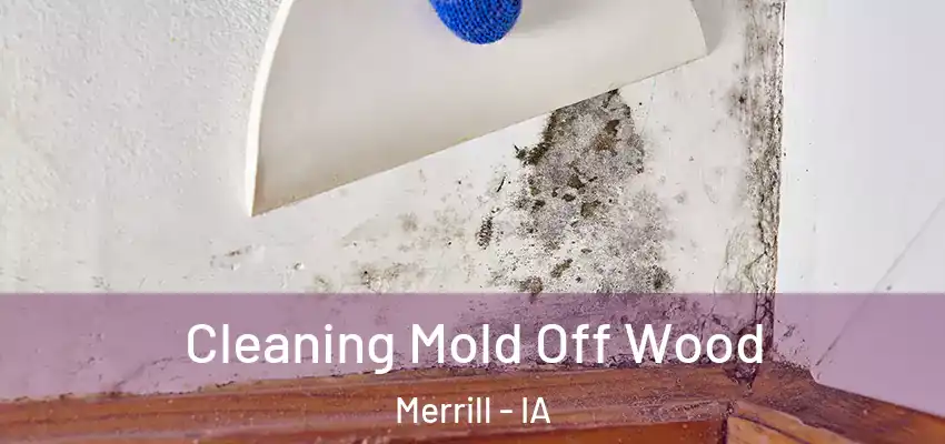  Cleaning Mold Off Wood Merrill - IA