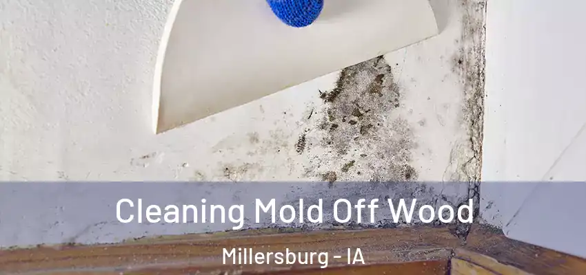 Cleaning Mold Off Wood Millersburg - IA