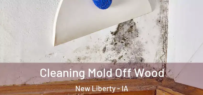  Cleaning Mold Off Wood New Liberty - IA