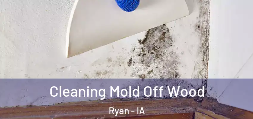 Cleaning Mold Off Wood Ryan - IA