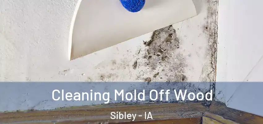  Cleaning Mold Off Wood Sibley - IA