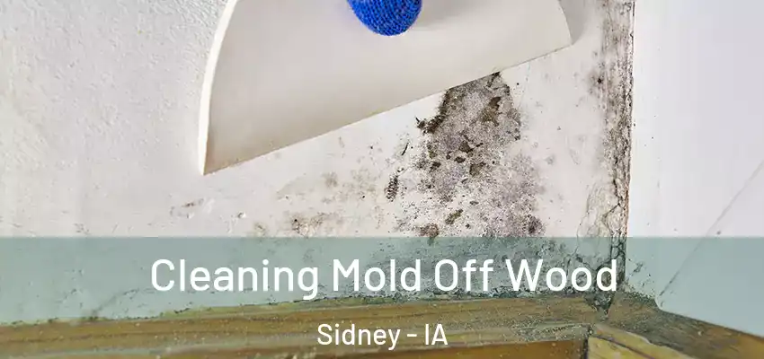  Cleaning Mold Off Wood Sidney - IA