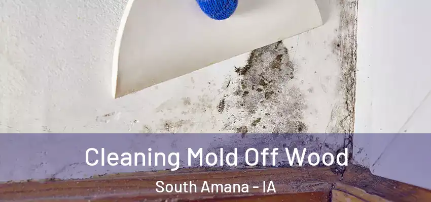 Cleaning Mold Off Wood South Amana - IA