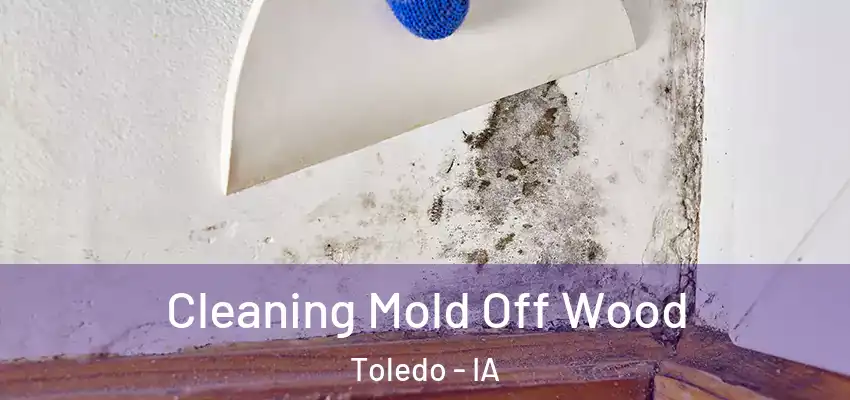  Cleaning Mold Off Wood Toledo - IA