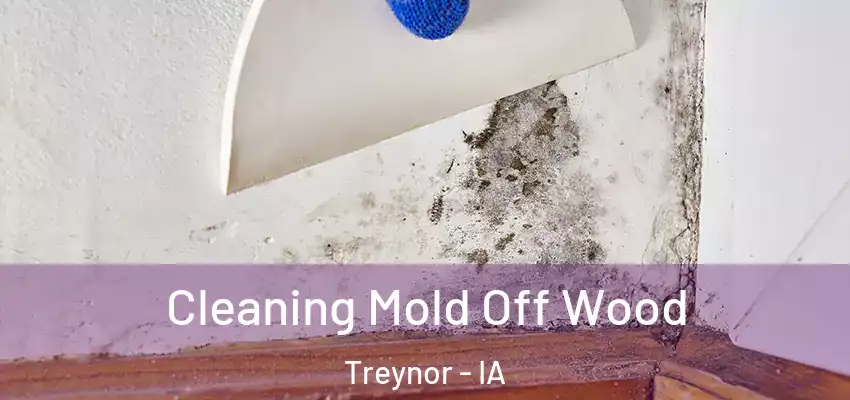 Cleaning Mold Off Wood Treynor - IA