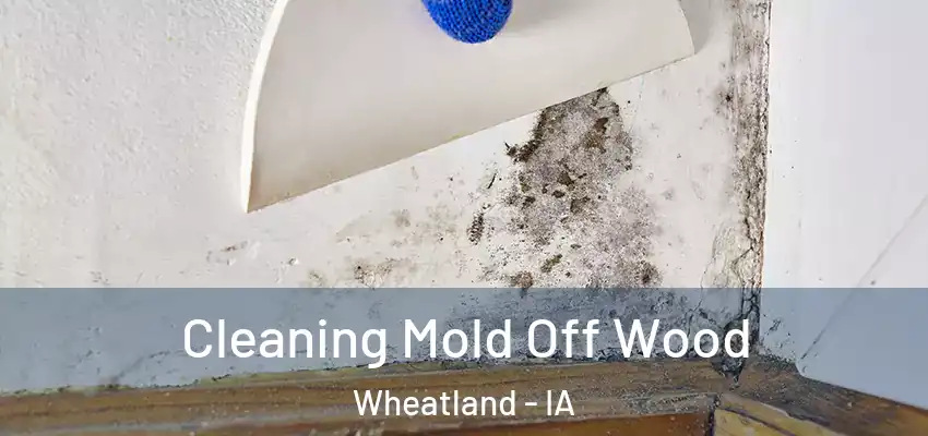  Cleaning Mold Off Wood Wheatland - IA