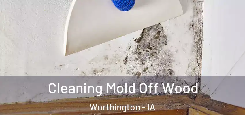  Cleaning Mold Off Wood Worthington - IA
