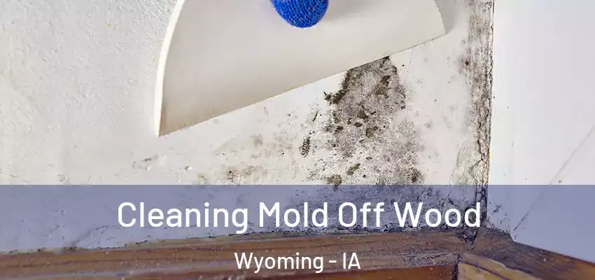  Cleaning Mold Off Wood Wyoming - IA
