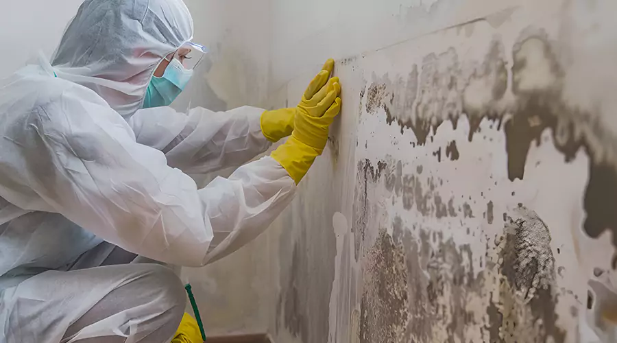 Technician in protective gear removing mold from an interior wall