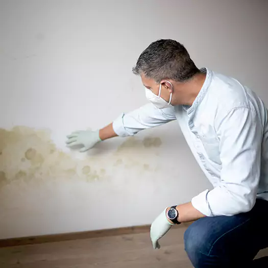 Trusted Mold Remediation and Removal Experts in Dunlap, IA
