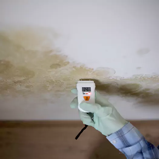 Reliable Mold Inspection Experts in Dunlap, IA