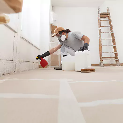 Reliable Mold Stain Remover Specialists in Dunlap, IA