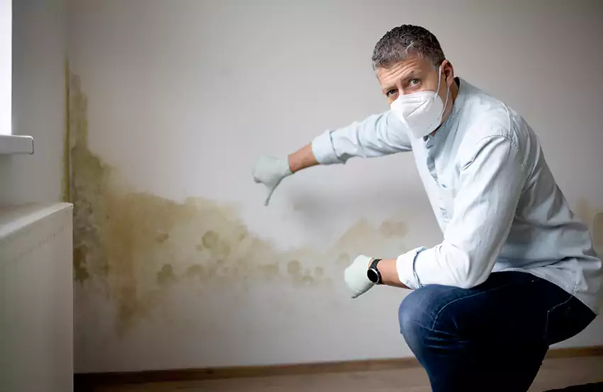 Mold Removal in Dunlap, IA
