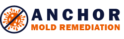Anchor Mold Remediation