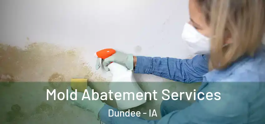 Mold Abatement Services Dundee - IA