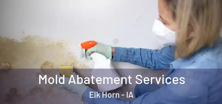  Mold Abatement Services Elk Horn - IA