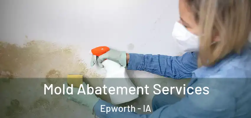 Mold Abatement Services Epworth - IA