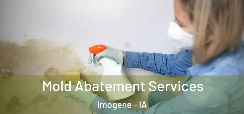 Mold Abatement Services Imogene - IA
