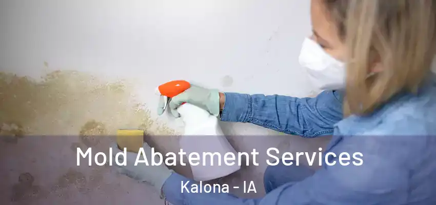  Mold Abatement Services Kalona - IA