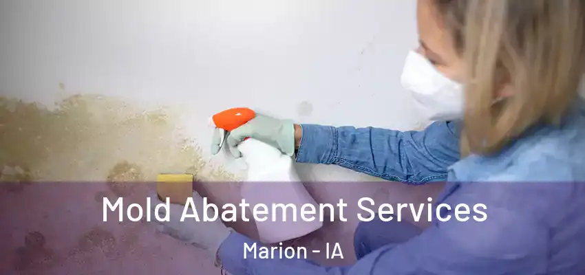  Mold Abatement Services Marion - IA