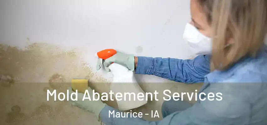 Mold Abatement Services Maurice - IA