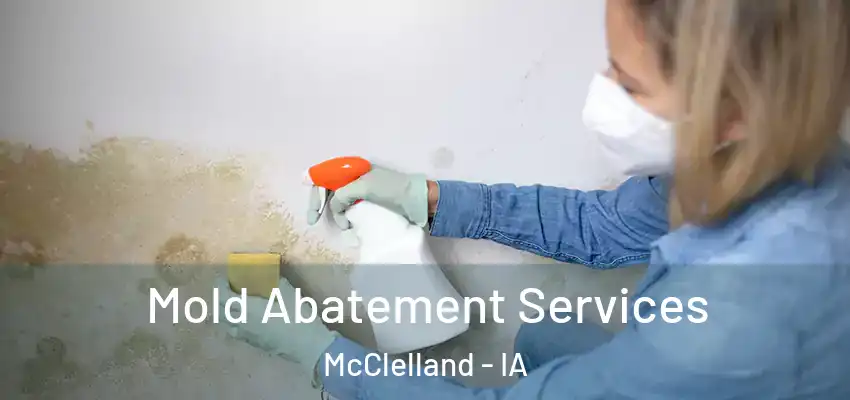 Mold Abatement Services McClelland - IA