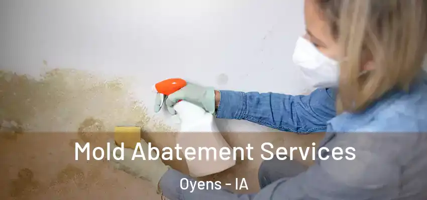  Mold Abatement Services Oyens - IA