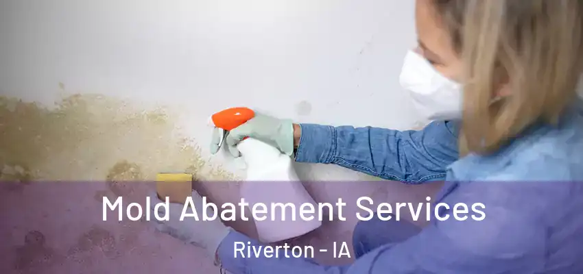  Mold Abatement Services Riverton - IA