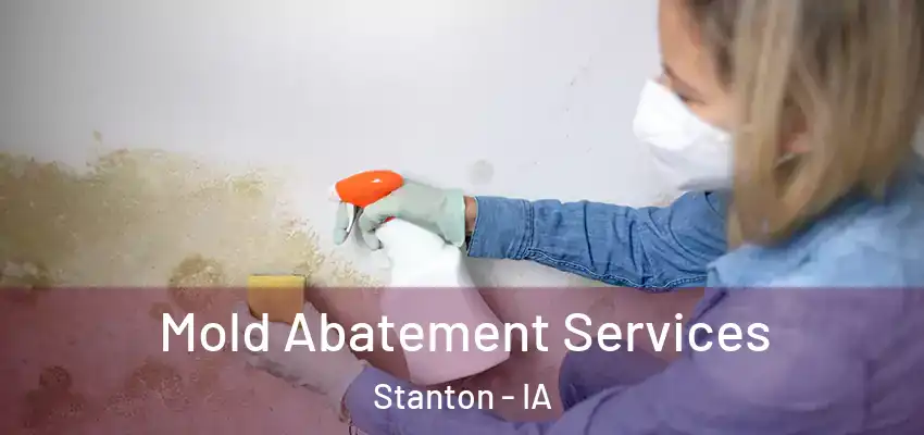 Mold Abatement Services Stanton - IA