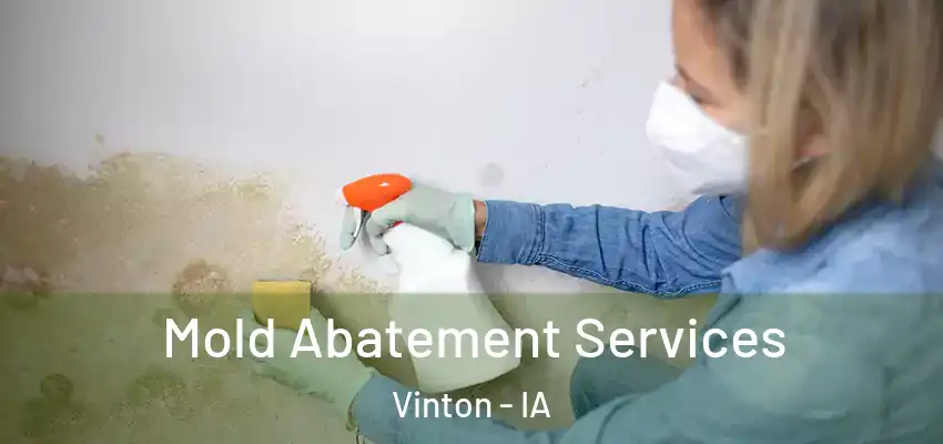  Mold Abatement Services Vinton - IA