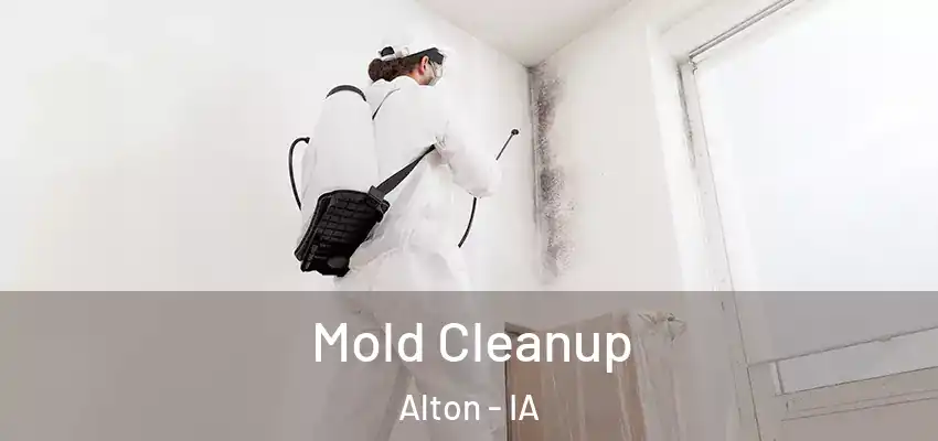  Mold Cleanup Alton - IA