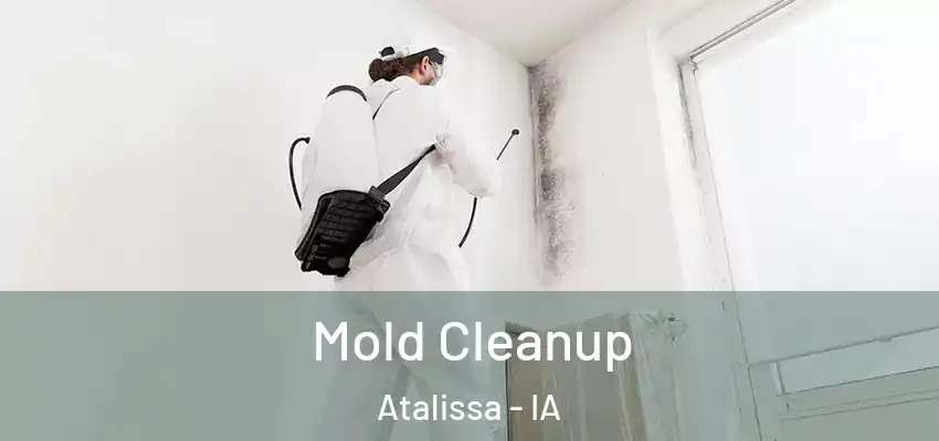 Mold Cleanup Atalissa - IA
