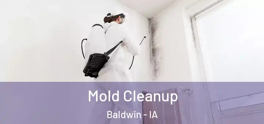  Mold Cleanup Baldwin - IA