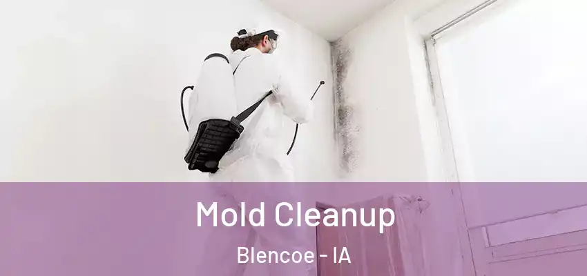  Mold Cleanup Blencoe - IA