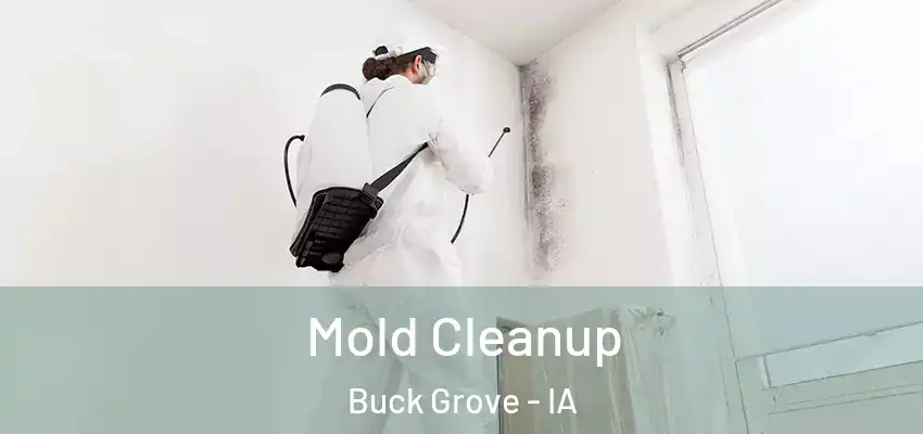 Mold Cleanup Buck Grove - IA