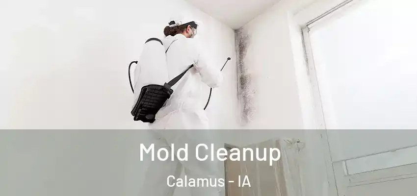  Mold Cleanup Calamus - IA