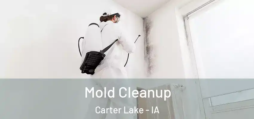 Mold Cleanup Carter Lake - IA