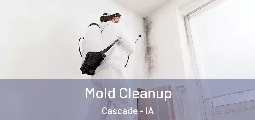 Mold Cleanup Cascade - IA