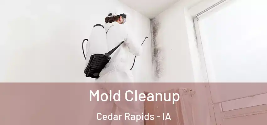  Mold Cleanup Cedar Rapids - IA