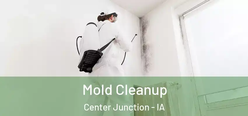 Mold Cleanup Center Junction - IA