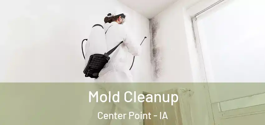 Mold Cleanup Center Point - IA