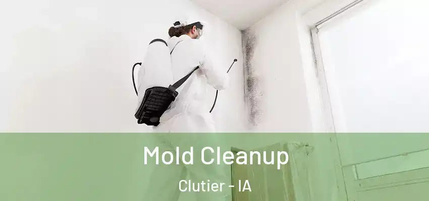  Mold Cleanup Clutier - IA