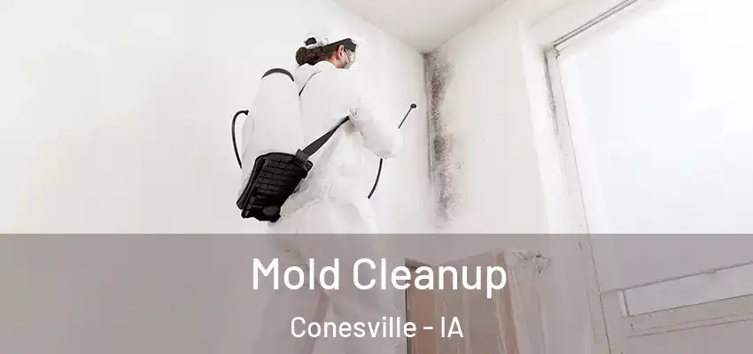 Mold Cleanup Conesville - IA