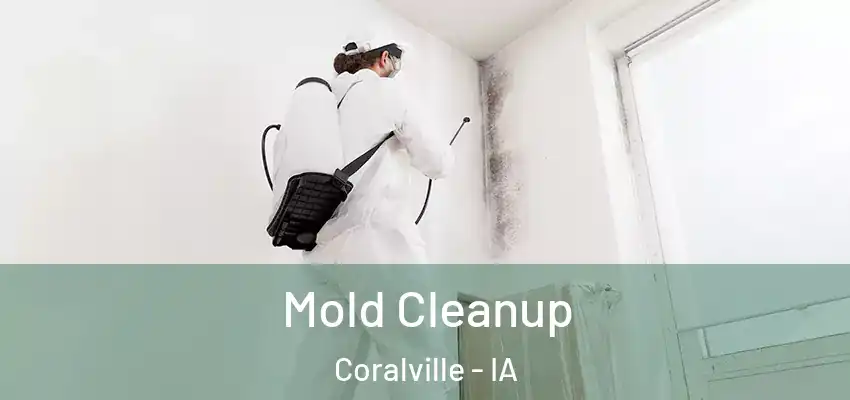  Mold Cleanup Coralville - IA
