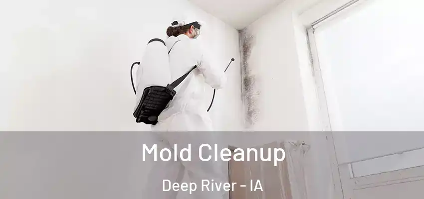 Mold Cleanup Deep River - IA