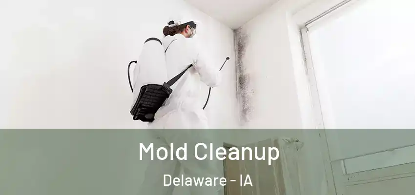 Mold Cleanup Delaware - IA