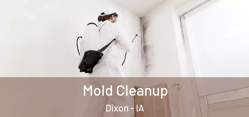  Mold Cleanup Dixon - IA
