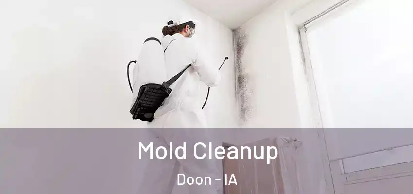 Mold Cleanup Doon - IA